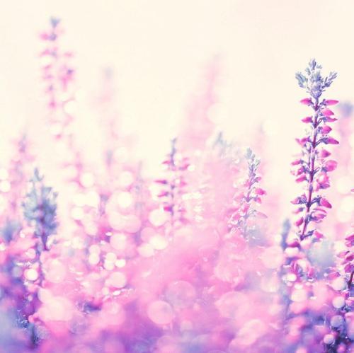 10.尽管我否认所有神灵的存在,但我将始终相信父母的“上帝”,因为父母抚养了我,并赋予了我我今天的身份。