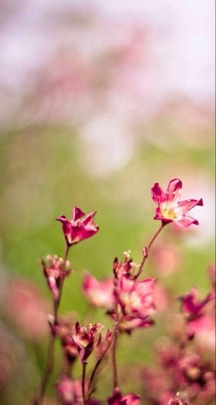 12日，洛阳亲戚朋友互相问，玉壶里有一块冰。