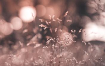 10.她是不朽的灯塔,永远照亮我一生的黑暗。