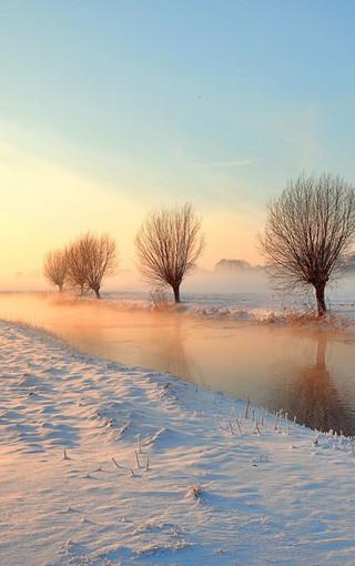 11.她是一艘永不停息的扁船,永久地渡过我一生的渡轮;