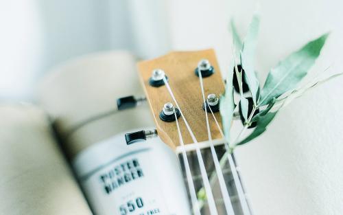 12.她永远是一朵美丽的花,永远在我生命的花园中开放,我愿意用世界上最美丽,最温暖的话语来赞美你