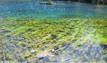 亲情是背后的支持的句子