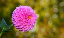 思念一个人开心的句子