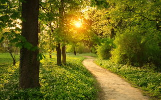 11.当我们向父母求婚时,他们担心自己会付出的不够。当父母需要我们时,他们只希望我们不会妥协。