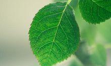 放假的不开心句子