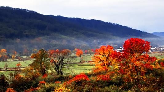 12.暂停辐射控制,乌苏神芒寂静夜露台。