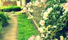 套路逗女孩开心的幽默句子