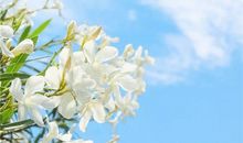 生病不开心的句子