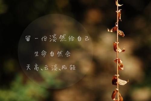 10.感情是慈爱的母亲手中的长线，编织着孩子们的梦想飞向高处；感情是父亲眼中的泪水，反映了孩子的成长。我的感觉是听歌，自然地，你会流下眼泪。