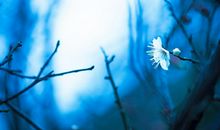 最幸福+最开心的句子说说心情