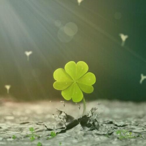 11.如果你是绿叶，爱会鼓励我。当我快乐时，爱会安慰我。当我犹豫时，温柔的尤尔爬上窗台。当我沮丧的时候，风慢慢地抬起了玻璃窗。我隐约听到了妈妈的叮当声。这是一种永远不会消失的感觉。