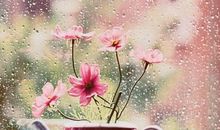 女朋友回家让她开心的句子