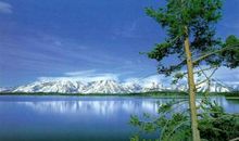 有关亲情优美的句子