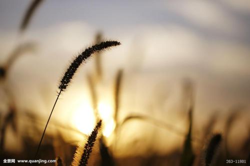 10.笑脸不仅可以表达善良,还可以缩短人与人之间的距离。