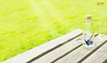 看到鲜花很开心的句子