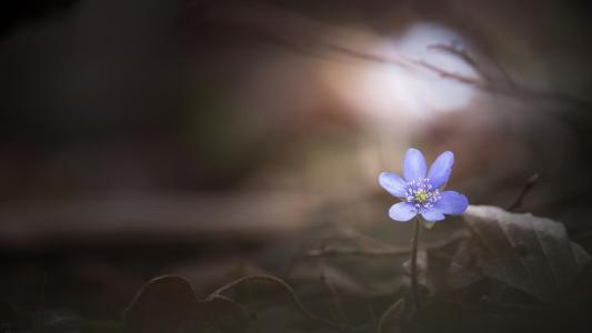 12.妈妈，我爱你，希望你身体健康。这么多年，我已经把我当作小公主宠坏了。非常感谢。我那么爱你！看完寒冷的世界和冷漠的人类感受后，我觉得亲情更加珍贵〜