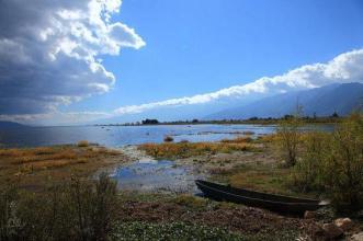 12.什么是家庭感情？是滋养我们成长的甜牛奶。