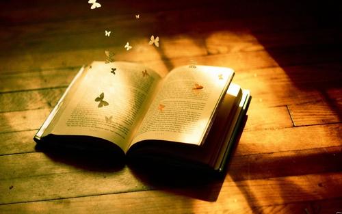 11.我能想到的最浪漫的事情是在家看电视