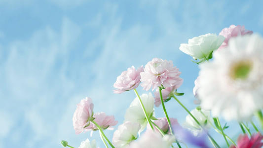 11.有能力让我喜欢你,你为什么没有能力嫁给我?