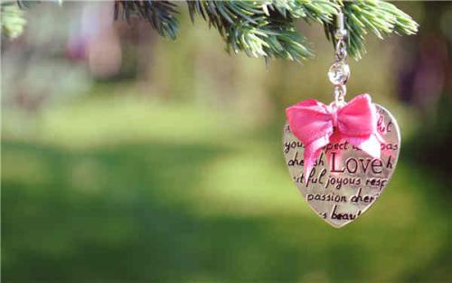 12.这对夫妻像蓝天白云一样融洽，草原和湖泊如此相配，燕子依附在春风中。