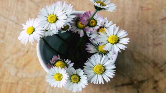 10.我不介意等你,只要你是最后一个等