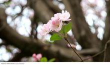 关于亲情的适合做题记的句子