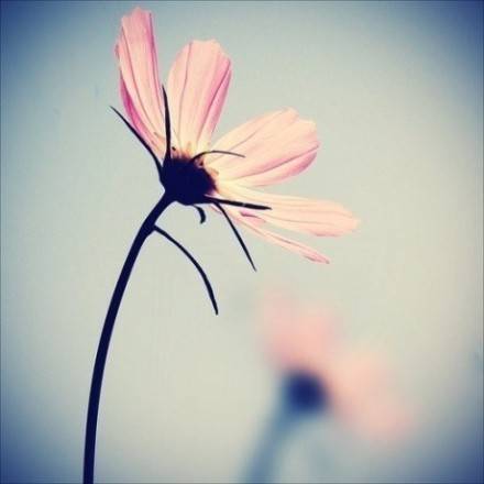 12.轻轻抬起头，一束柔和的光线引导我们采取坚定的步骤。