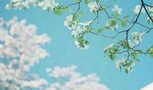 亲情类思念的描写优美句子