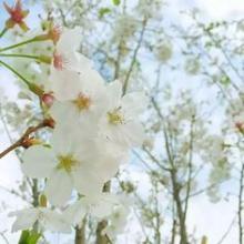 10.家庭之爱是漆黑的夜晚中的北极星。