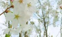 适合写在亲情纪念册的句子