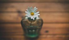 形容人笑得很开心很幸福的句子