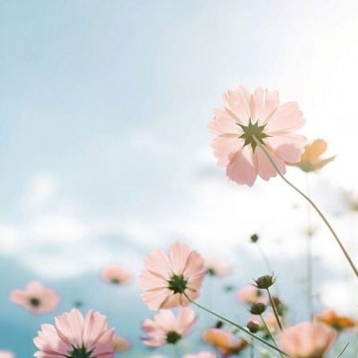 9.家庭感情在我们身边，等待着我们的挖掘，让我们做一个有爱心的人，努力品尝我们周围的家庭感情，丰富多彩的生活。