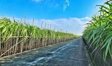 玩的开心的搞笑句子