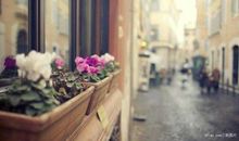 愿每天开心的句子怎么说