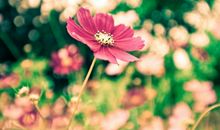 描写血浓于水的亲情的句子