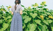 关于开心写的句子