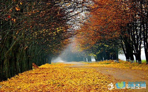 描述秋天的句子