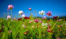 逗男生开心的笑话句子