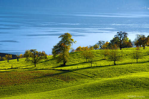 描述风景和田园的句子1