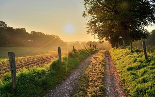 12.我姐姐听到每个人的称赞，脸颊上飘起两朵红云，鲜红的舌头环绕着她的嘴唇，她内心感到高兴。