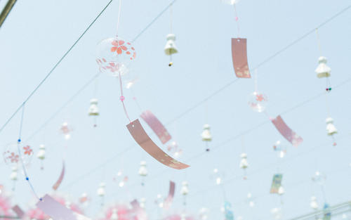 10.做一个简单，务实，务实的人，不要沉迷幻想，不要打扰自己。