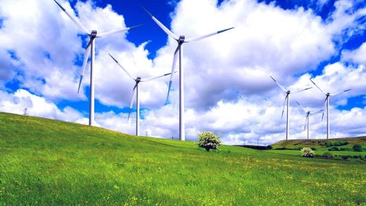 11.她充满喜悦，脸上带着动容的微笑，像鸽子一样点着头。