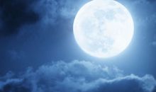 是打比方的句子有哪些