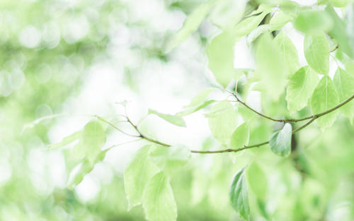 12.如果你能表达，爱或恨，那是多么幸福的事