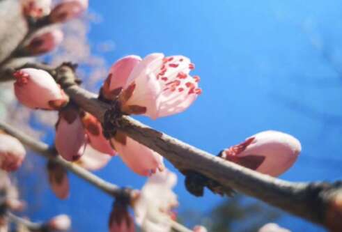 感情谈论生活的感觉第四期