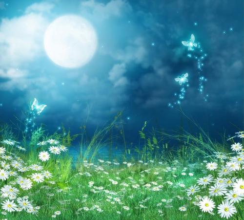 11.年是测试世界宣誓的试卷;距离是衡量命运深度的标尺;问候是一种颜色。笔描绘了情感的温暖。在冬至时,温暖的问候可以打动您的心。