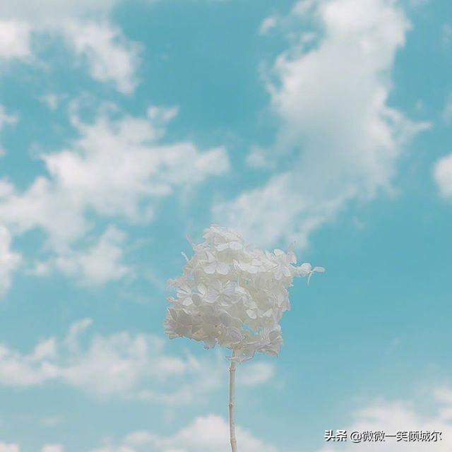 12.夏天炎热高温，凉爽，预防感冒，注意调养精神，保持心情舒畅，经常运动，规律运动，保持健康的营养平衡！祝您夏天愉快，夏天安全！