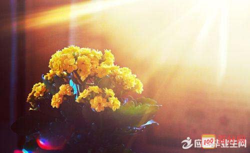 10.祝你好运到来，所有霉菌都消失了；幸福到了，所有的烦恼都消失了；凉爽了，整个夏天的热量都消失了；凉风拂面，所有的热量都消失了；凉到了，所有的热量都消失了；祝福来了，所有的干燥萧；祝您夏天凉爽，快乐，和平。