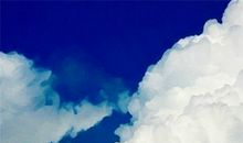 愿亲情的句子大全