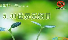 无烟日名言